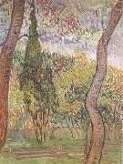 Vincent Van Gogh The Garden of Saint-Paul Hospital (nn04) china oil painting artist